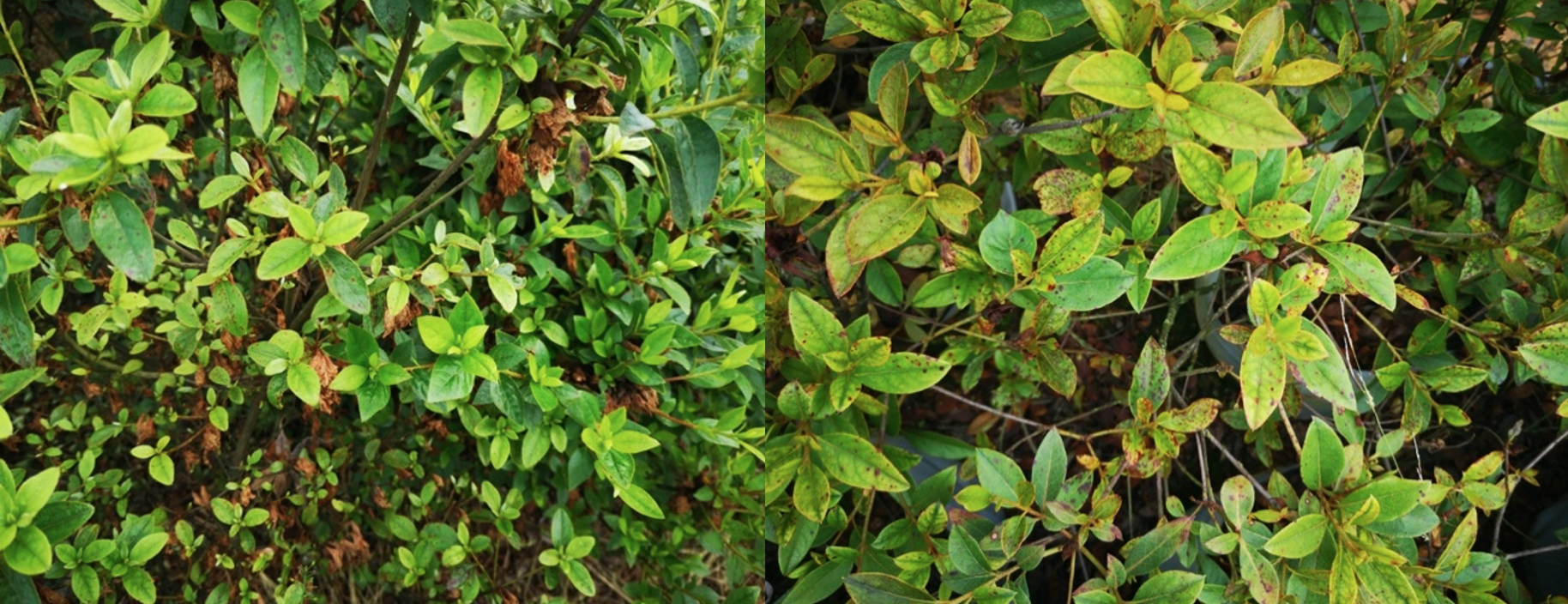 1665883061666836.png 截屏2022-10-1609.17.36.png