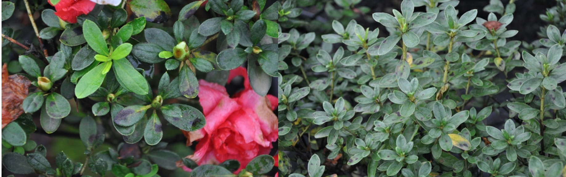 1665883121535709.png 截屏2022-10-1609.18.36.png