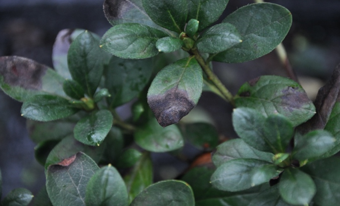 1665883191236412.png 截屏2022-10-1609.19.47.png