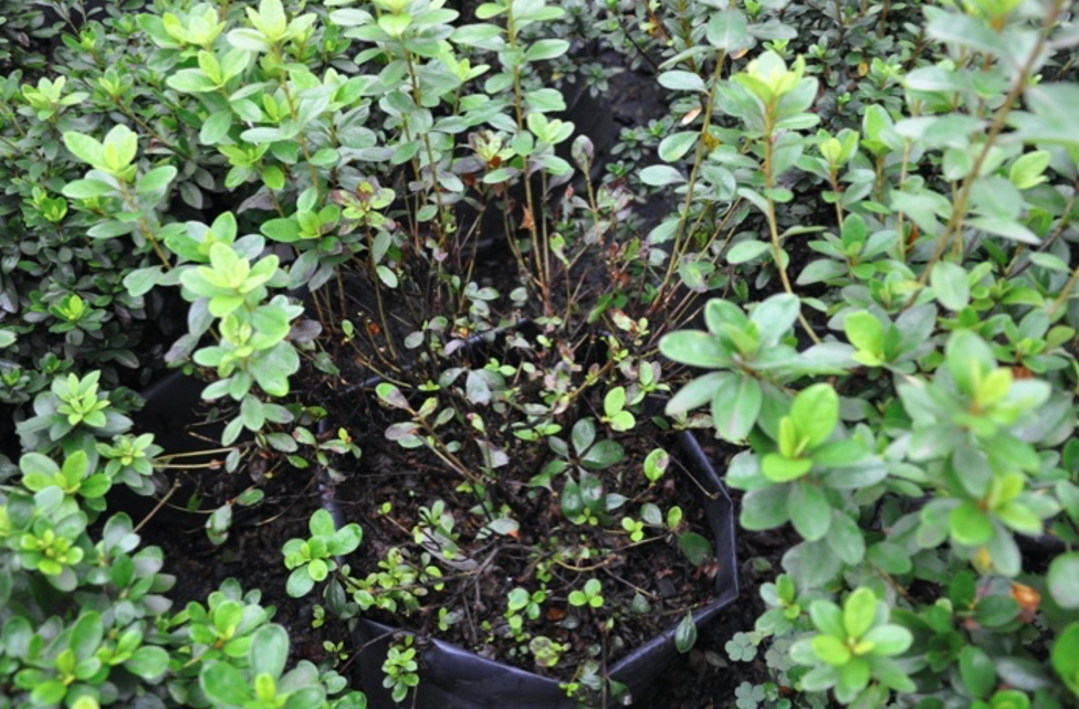 1665883243415067.png 截屏2022-10-1609.20.38.png