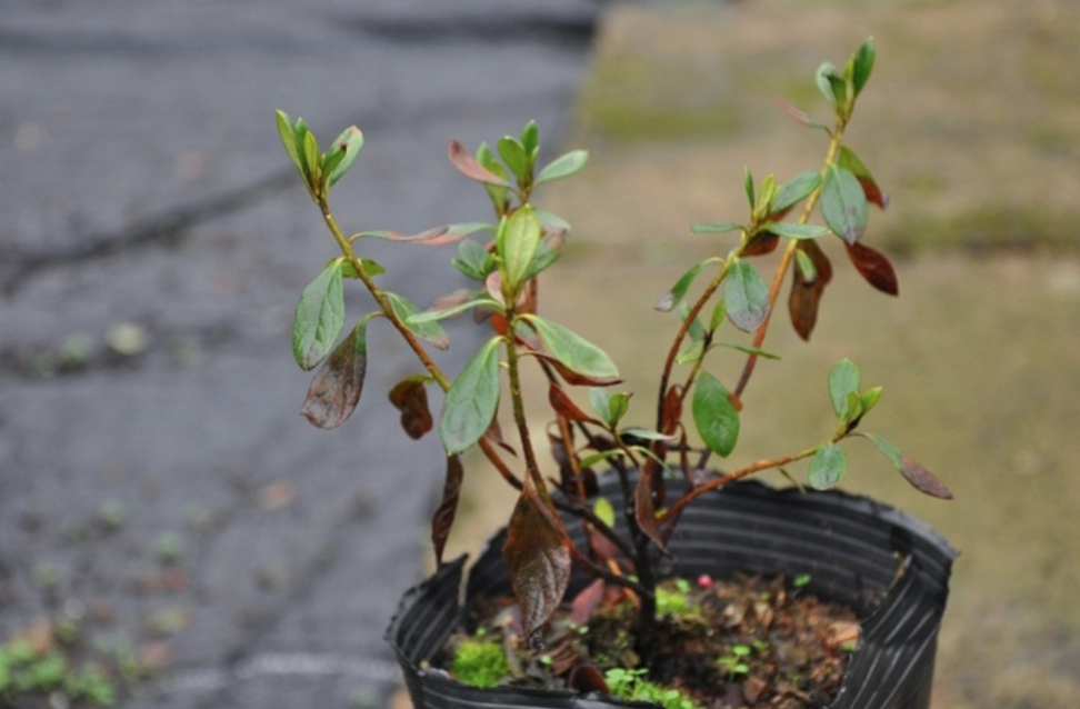 1665883285194839.png 截屏2022-10-1609.21.22.png